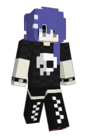 Skin preview
