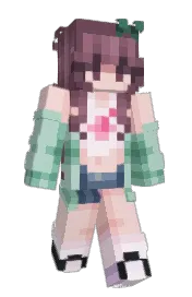 Skin preview