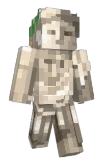 Front of Ketten0_0's skin