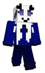 white and navy blue Minecraft skin — Classic model