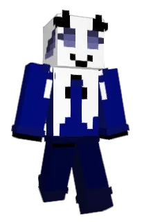 Front of Minecraft skin