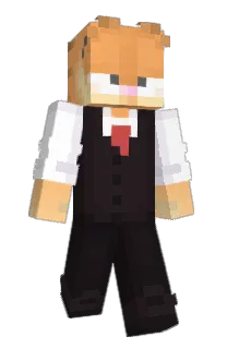 Front of AngyCat's skin