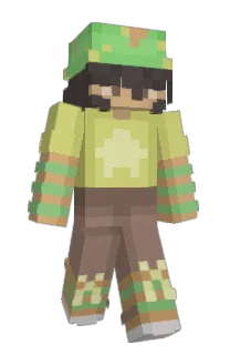Front of dishylevi's skin