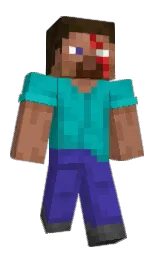 Minecraft skin — Classic model