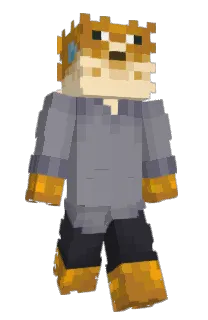 Front of Swinzee's skin
