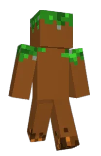 Front of DirtBlock1's skin