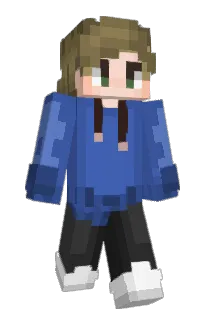 meelio1234's Minecraft skin