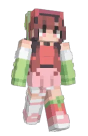 Skin preview