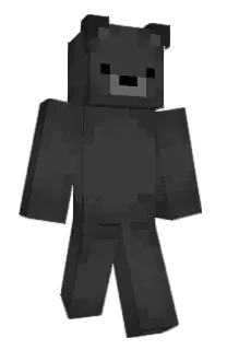 crong12's Minecraft skin