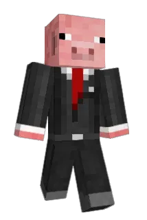 ecook22 Minecraft avatar full body