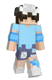 Skin preview