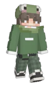 Skin preview