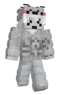 Front of AlperSocial's skin