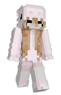 Front of Irishhalo's skin