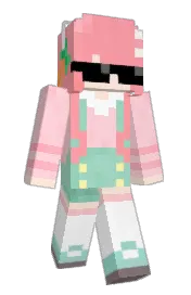 Skin preview