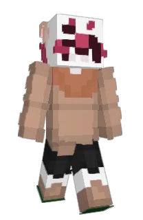 Front of KRlSP's skin