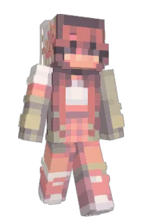 Front of mochhi's skin