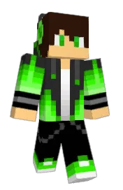 Skin preview