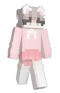 Front of Roomiez's skin