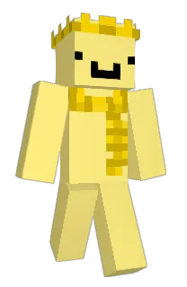 Front of yellowfr's skin