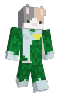 Front of Beangraft's skin