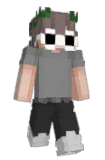 reykopp