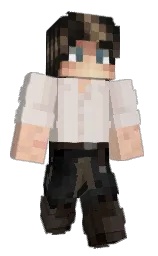 Classic Minecraft skin