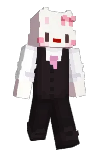 Front of Cyclip's skin