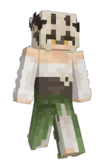 Front of AshIsntLost's skin