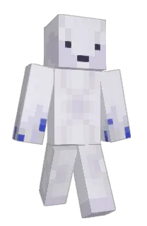 Front of botV6's skin