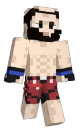 Classic Minecraft skin