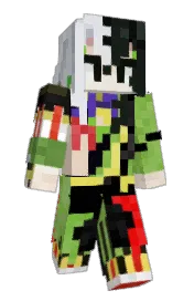 Skin preview