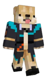 Minecraft skin — Classic model