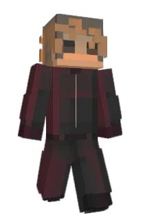 Front of finfizz's skin