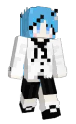 white and black Minecraft skin — Classic model