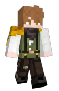 Front of BenbleBee's skin
