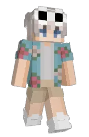 Skin preview
