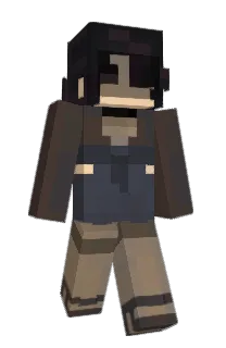 Front of solacefier's skin