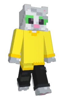 Front of SoSteak943's skin