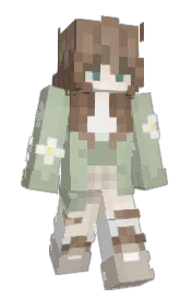 Skin preview