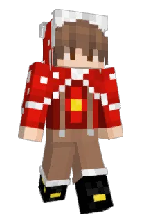 Front of TrShark's skin