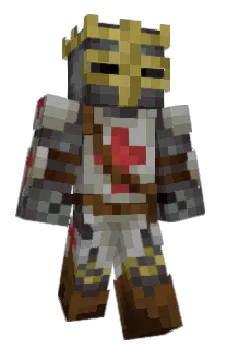 Front of SnowyMt's skin