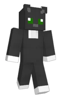 Front of Pemcuk's skin