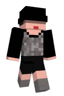 edh10 Minecraft avatar full body