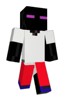 edobroun Minecraft avatar full body