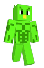 Skin preview