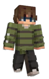 polytopus's Minecraft skin wearing the Common cape