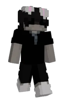 Front of yl3nk's skin