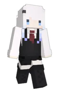 Front of vnll's skin