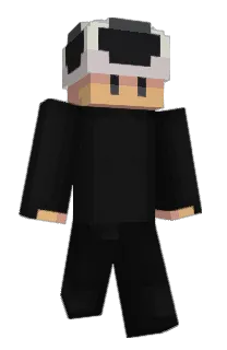 ASDASDAWDS's Minecraft skin